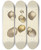 Triptych art skateboard deck of James Sowerby The Mineral Conchology Of Great Britain Pl470 by James Sowerby (1757-1822)