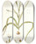 Triptych art skateboard deck of Nikolaus Joseph Freiherr Von Jacquin Moraea Sordescens by Nikolaus Joseph Freiherr Von Jacquin (1727-1817)