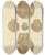 Triptych art skateboard deck of James Sowerby The Mineral Conchology Of Great Britain Pl331 by James Sowerby (1757-1822)