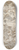 Francesco Solimena - The Continence of Scipio 8.25 inch art skate deck