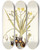Triptych art skateboard deck of Nikolaus Joseph Freiherr Von Jacquin Hypoxis Sobolifera by Nikolaus Joseph Freiherr Von Jacquin (1727-1817)