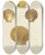 Triptych art skateboard deck of James Sowerby The Mineral Conchology Of Great Britain Pl277 by James Sowerby (1757-1822)