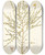Triptych art skateboard deck of Nikolaus Joseph Freiherr Von Jacquin Cytisus Tener by Nikolaus Joseph Freiherr Von Jacquin (1727-1817)