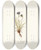 Triptych art skateboard deck of Nikolaus Joseph Freiherr Von Jacquin Phyteuma Hemisphaerica by Nikolaus Joseph Freiherr Von Jacquin (1727-1817)