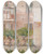 Triptych art skateboard deck of Lars Jacob Von Rk Italian Study Patio With Lemontrees In Flowerpots by Lars Jacob Von Rook (1778-1867)