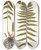 Triptych art skateboard deck of Nikolaus Joseph Freiherr Von Jacquin Polypodium Molle by Nikolaus Joseph Freiherr Von Jacquin (1727-1817)