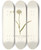Triptych art skateboard deck of Nikolaus Joseph Freiherr Von Jacquin Anthericum Subtrigynum by Nikolaus Joseph Freiherr Von Jacquin (1727-1817)