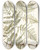 Triptych art skateboard deck of Nikolaus Joseph Freiherr Von Jacquin Pteris Caudata by Nikolaus Joseph Freiherr Von Jacquin (1727-1817)