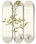 Triptych art skateboard deck of Nikolaus Joseph Freiherr Von Jacquin Fothergilla Gardeni by Nikolaus Joseph Freiherr Von Jacquin (1727-1817)