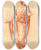 Triptych art skateboard deck of Cornelis Pronk Beeld Van Staande Jongen In Toga by Cornelis Pronk (1691-1759)