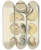 Triptych art skateboard deck of James Sowerby The Mineral Conchology Of Great Britain Pl441 by James Sowerby (1757-1822)