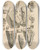Triptych art skateboard deck of Gerard De Lairesse Anatomia Humani Corporis Pl025 by Gerard de Lairesse (1641-1711)