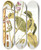 Triptych art skateboard deck of Nikolaus Joseph Freiherr Von Jacquin Dolichos Acinaciformis by Nikolaus Joseph Freiherr Von Jacquin (1727-1817)