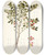 Triptych art skateboard deck of Nikolaus Joseph Freiherr Von Jacquin Myginda Rhacoma by Nikolaus Joseph Freiherr Von Jacquin (1727-1817)