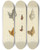 Triptych art skateboard deck of James Sowerby The Mineral Conchology Of Great Britain Pl346 by James Sowerby (1757-1822)