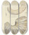 Triptych art skateboard deck of James Sowerby The Mineral Conchology Of Great Britain Pl425 by James Sowerby (1757-1822)