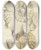 Triptych art skateboard deck of James Sowerby The Mineral Conchology Of Great Britain Pl375 by James Sowerby (1757-1822)