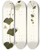 Triptych art skateboard deck of Nikolaus Joseph Freiherr Von Jacquin Passiflora Lutea by Nikolaus Joseph Freiherr Von Jacquin (1727-1817)