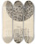 Triptych art skateboard deck of Robert Hooke Microscopic View Of Charcoal And Petrified Wood by Robert Hooke (1635-1703)