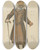 Triptych art skateboard deck of Leslie Matthew Ward Turf Devotees The Lad Lieutenantcolonel The Hon Henry Townshend Forester December 29 1883 by Leslie Matthew Ward (1851-1922)