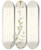Triptych art skateboard deck of Nikolaus Joseph Freiherr Von Jacquin Antirrhinum Hirtum by Nikolaus Joseph Freiherr Von Jacquin (1727-1817)