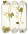 Triptych art skateboard deck of Nikolaus Joseph Freiherr Von Jacquin Gronovia Scandens by Nikolaus Joseph Freiherr Von Jacquin (1727-1817)