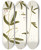 Triptych art skateboard deck of Nikolaus Joseph Freiherr Von Jacquin Galega Longifolia by Nikolaus Joseph Freiherr Von Jacquin (1727-1817)