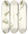 Triptych art skateboard deck of Nikolaus Joseph Freiherr Von Jacquin Convolvulus Crenatus by Nikolaus Joseph Freiherr Von Jacquin (1727-1817)
