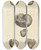 Triptych art skateboard deck of James Sowerby The Mineral Conchology Of Great Britain Pl551 by James Sowerby (1757-1822)
