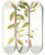 Triptych art skateboard deck of Nikolaus Joseph Freiherr Von Jacquin Andromeda Coriacea by Nikolaus Joseph Freiherr Von Jacquin (1727-1817)