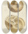 Triptych art skateboard deck of James Sowerby The Mineral Conchology Of Great Britain Pl317 by James Sowerby (1757-1822)