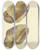 Triptych art skateboard deck of James Sowerby The Mineral Conchology Of Great Britain Pl525 by James Sowerby (1757-1822)