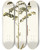 Triptych art skateboard deck of Nikolaus Joseph Freiherr Von Jacquin Cassia Multiglandulosa by Nikolaus Joseph Freiherr Von Jacquin (1727-1817)