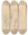 Triptych art skateboard deck of Johann Wilhelm Preyer Studies Of Plants by Johann Wilhelm Preyer (1803-1889)