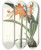 Triptych art skateboard deck of Priscilla Susan Bury Amaryllis Fulgida by Priscilla Susan Bury (1799-1872)