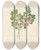 Triptych art skateboard deck of Clemenz Heinrich Wehdemann Rhamnus Cassine Aethiopica Mystroxylon Aethiopicum by Clemenz Heinrich Wehdemann (1762-1835)