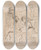 Triptych art skateboard deck of Jeanlouis Forain Reading Of The Barristers Brief by Jean Louis Forain (1852-1931)