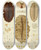 Triptych art skateboard deck of Arnold Lang Die Polycladen Des Golfes Von Neapel Und Der Angrenzenden Meeresabschnitte Pl10 by Arnold Lang (1855-1914)