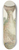 Frank Edward Clarke - Acanthopagrus butcheri (Tas): Black bream 8.25 inch art skate deck