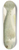 Frank Edward Clarke - Notolabrus celidotus (NZ) : Wrasse 8.25 inch art skate deck