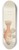 Frank Edward Clarke - Vincentia conspera (Tas) : Southern Cardinalfish 8.25 inch art skate deck