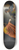 Franois-Andr Vincent - Arria and Paetus 8.25 inch art skate deck