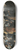 Frans Hals - Militia Company of District XI under the Command of Captain Reynier Reael, Known as The Meagre Company 8.25 inch art skate deck