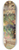 Franz Reinhold - Der Hof des Polizei-Gefangenenhauses in der Theobaldgasse in Wien 8.25 inch art skate deck