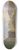 Franz Xaver Reinhold - Blick auf die Gloriette 8.25 inch art skate deck