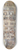 Frdric Houbron - LAncien cimetire Saint-Andr, 13 rue Suger. 6me arrondissement 8.25 inch art skate deck