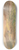 Frederic Edwin Church - View of the Acropolis, Athens 8.25 inch art skate deck