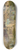 Frederic Leighton - Capri 8.25 inch art skate deck