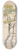 Friedrich Carl von Scheidlin - Study of Deciduous Tree 8.25 inch art skate deck