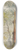 Friedrich Carl von Scheidlin - Study of Old and Young Tree 8.25 inch art skate deck